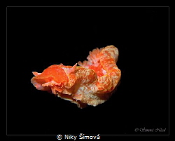 Spanish dancer by Niky Šímová 